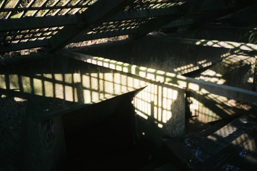 Pigeonhouse Stream, Crox Bottom – Avon Stories